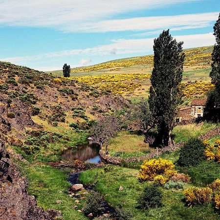 Casa Rural La Vereilla Barajas de Gredos Eksteriør billede