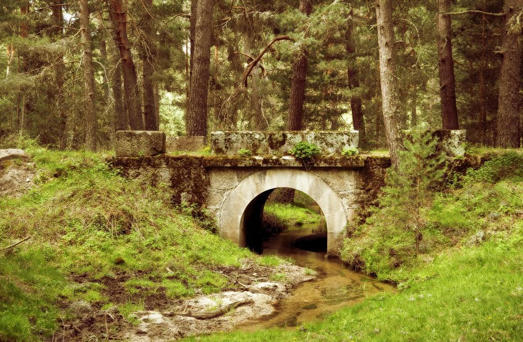Casa Rural La Vereilla Barajas de Gredos Eksteriør billede