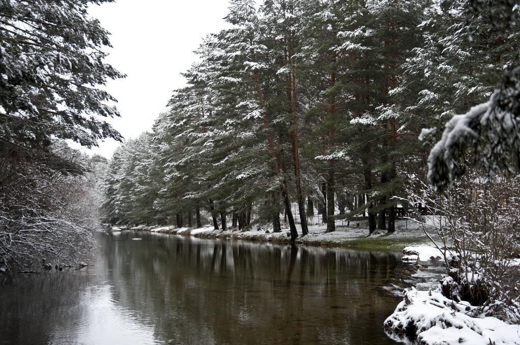 Casa Rural La Vereilla Barajas de Gredos Eksteriør billede