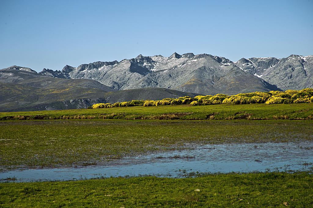 Casa Rural La Vereilla Barajas de Gredos Eksteriør billede