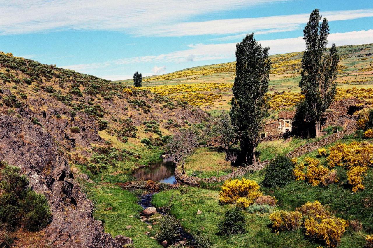 Casa Rural La Vereilla Barajas de Gredos Eksteriør billede